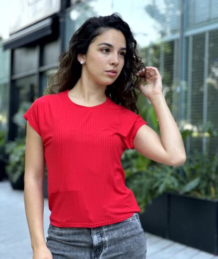 065-Remera Basica T.L -morley